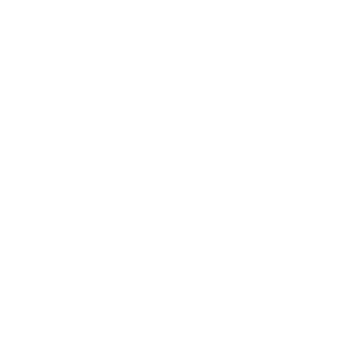 ferris-wheel